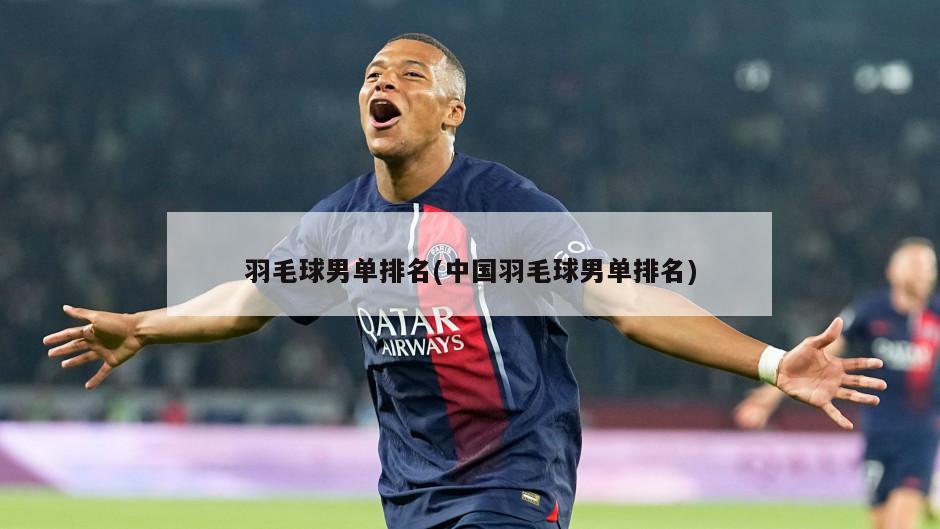 羽毛球男单排名(中国羽毛球男单排名)-第1张图片-海莱特体育