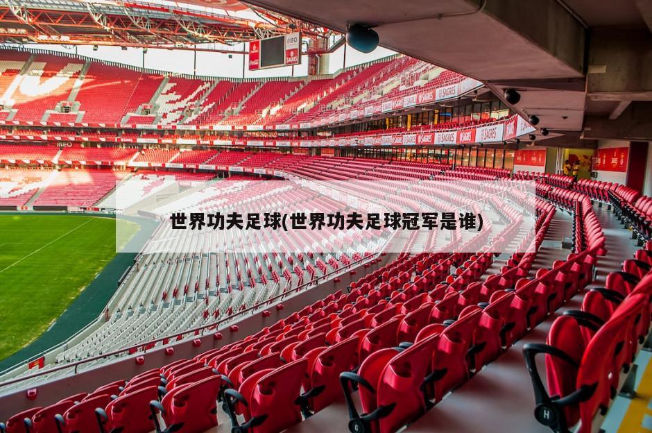 世界功夫足球(世界功夫足球冠军是谁)-第1张图片-海莱特体育