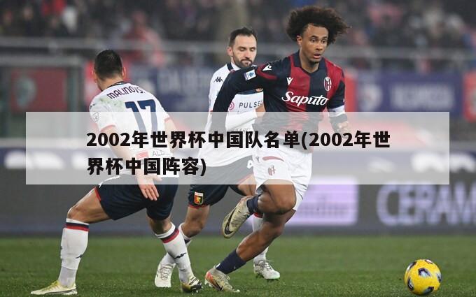 2002年世界杯中国队名单(2002年世界杯中国阵容)-第1张图片-海莱特体育