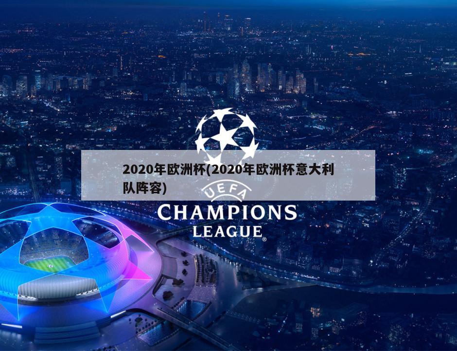 2020年欧洲杯(2020年欧洲杯意大利队阵容)-第1张图片-海莱特体育