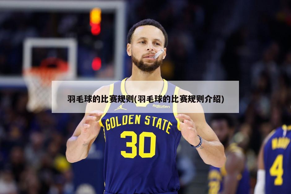 羽毛球的比赛规则(羽毛球的比赛规则介绍)-第1张图片-海莱特体育