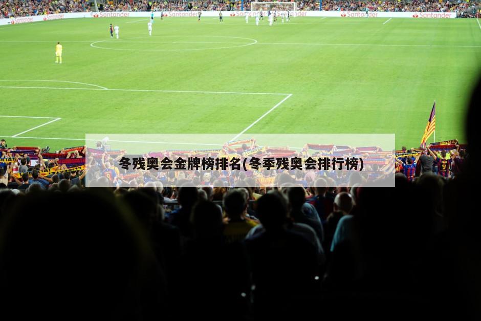 冬残奥会金牌榜排名(冬季残奥会排行榜)-第1张图片-海莱特体育