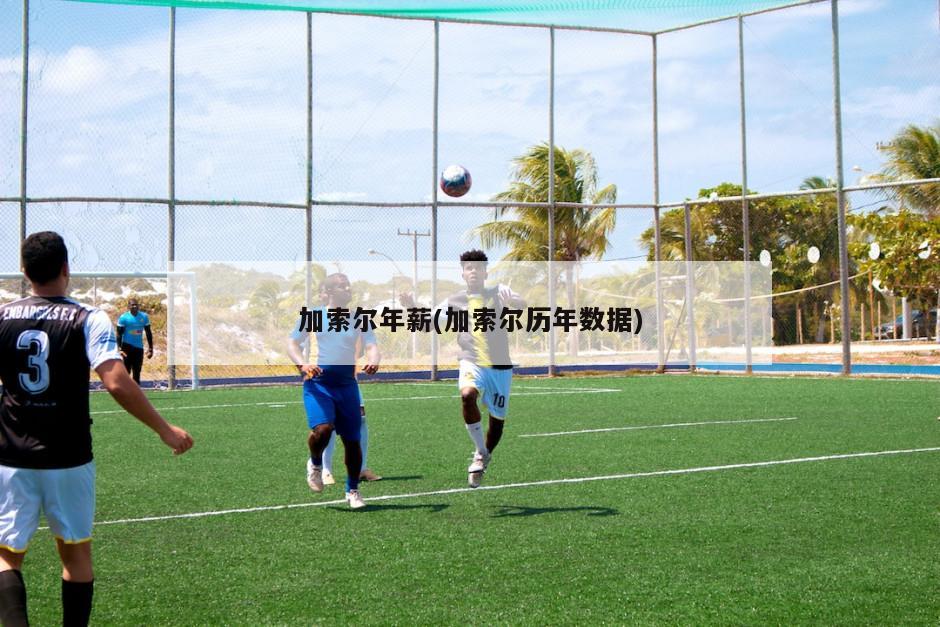 加索尔年薪(加索尔历年数据)-第1张图片-海莱特体育