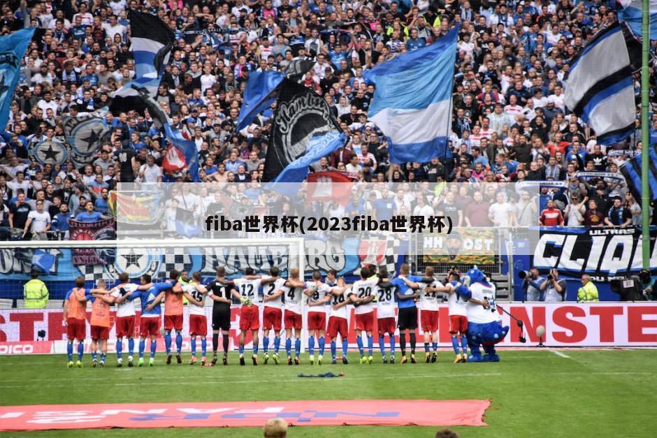 fiba世界杯(2023fiba世界杯)-第1张图片-海莱特体育