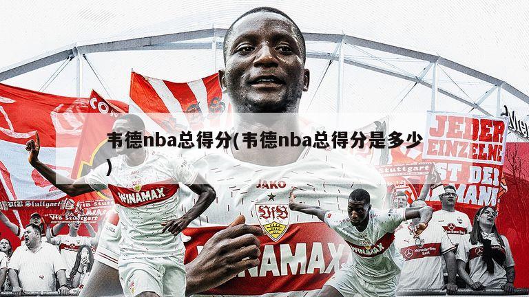 韦德nba总得分(韦德nba总得分是多少)-第1张图片-海莱特体育