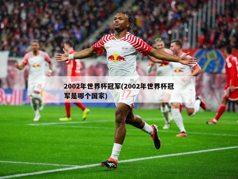 2002年世界杯冠军(2002年世界杯冠军是哪个国家)-第1张图片-海莱特体育