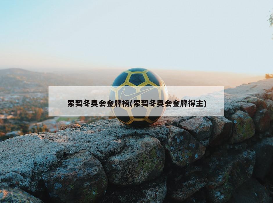 索契冬奥会金牌榜(索契冬奥会金牌得主)-第1张图片-海莱特体育