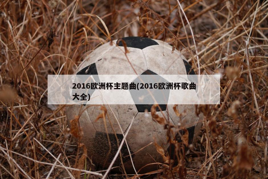 2016欧洲杯主题曲(2016欧洲杯歌曲大全)-第1张图片-海莱特体育