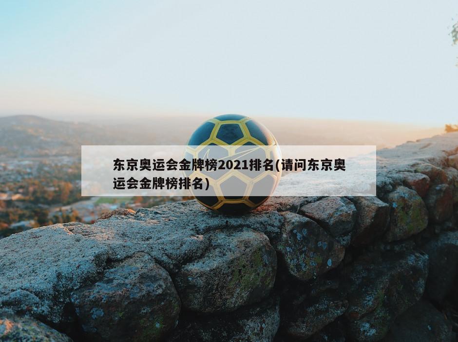 东京奥运会金牌榜2021排名(请问东京奥运会金牌榜排名)-第1张图片-海莱特体育