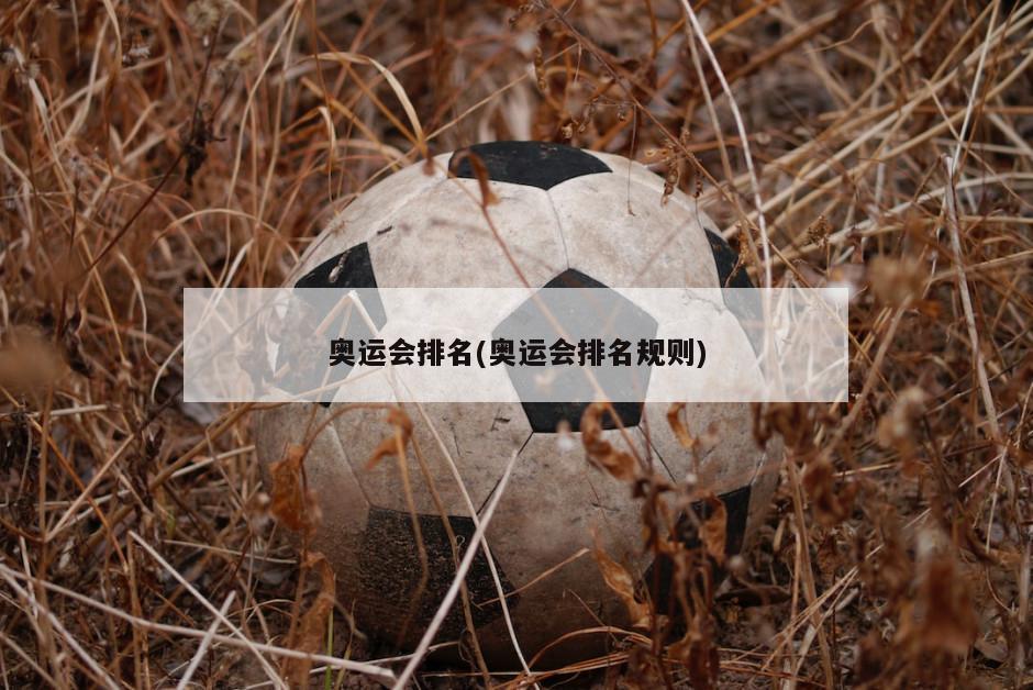 奥运会排名(奥运会排名规则)-第1张图片-海莱特体育
