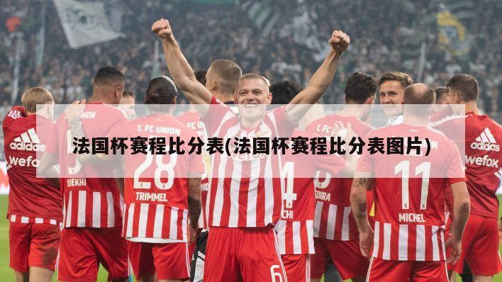 法国杯赛程比分表(法国杯赛程比分表图片)-第1张图片-海莱特体育