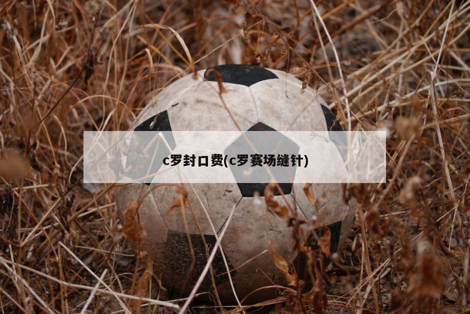 c罗封口费(c罗赛场缝针)-第1张图片-海莱特体育