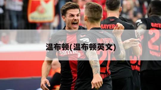 温布顿(温布顿英文)-第1张图片-海莱特体育