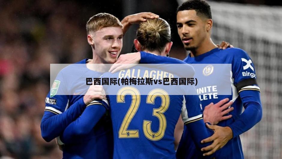 巴西国际(帕梅拉斯vs巴西国际)-第1张图片-海莱特体育