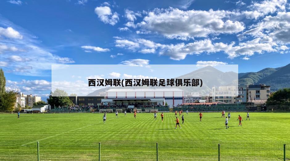 西汉姆联(西汉姆联足球俱乐部)-第1张图片-海莱特体育
