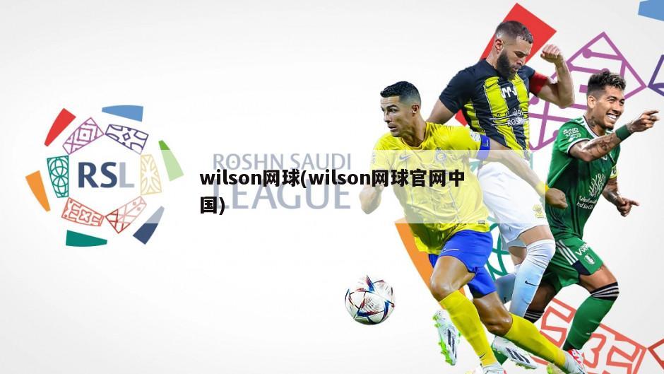 wilson网球(wilson网球官网中国)-第1张图片-海莱特体育