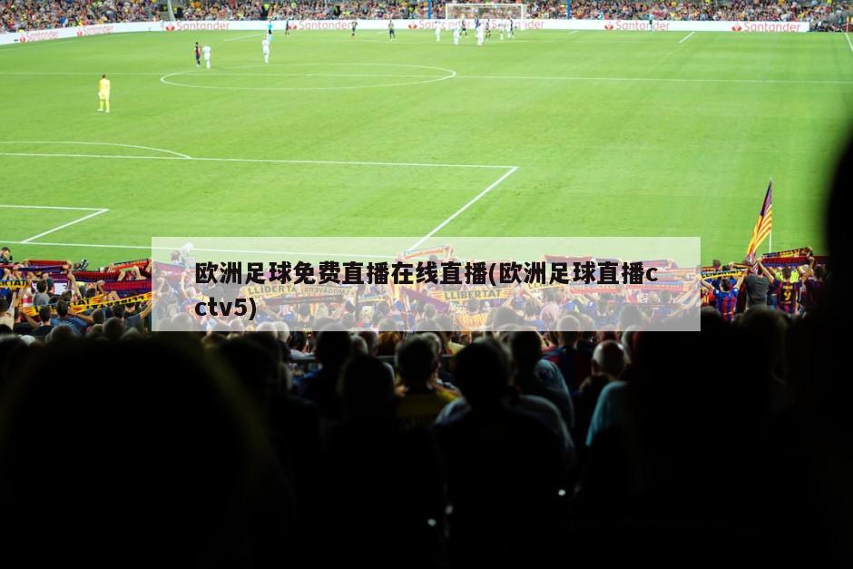 欧洲足球免费直播在线直播(欧洲足球直播cctv5)-第1张图片-海莱特体育