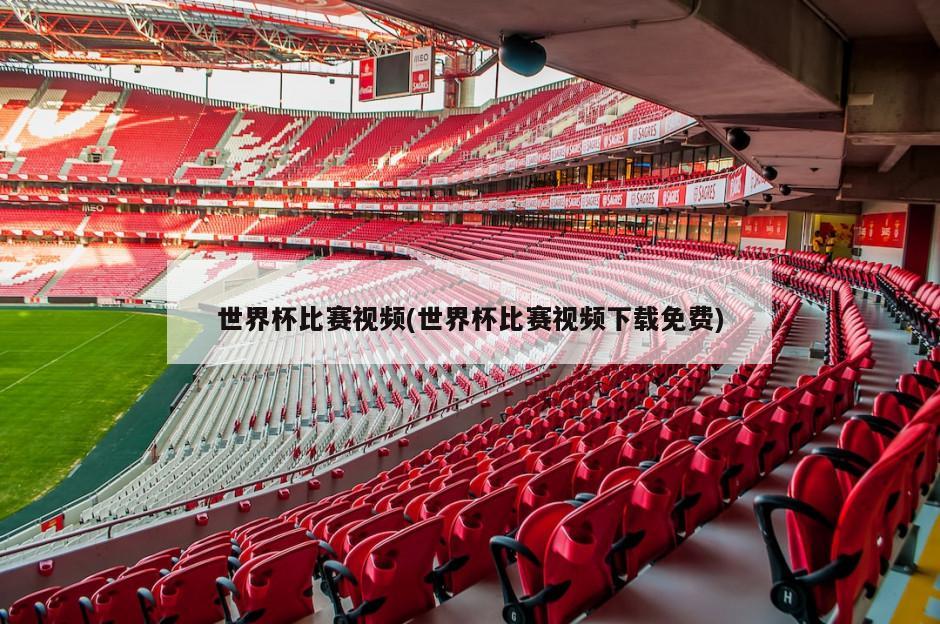 世界杯比赛视频(世界杯比赛视频下载免费)-第1张图片-海莱特体育