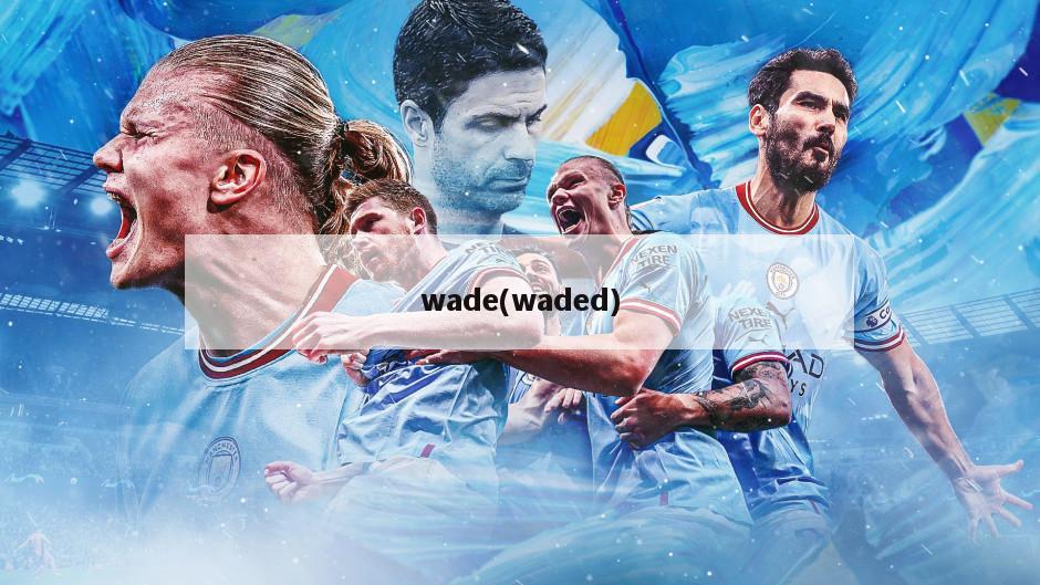 wade(waded)-第1张图片-海莱特体育
