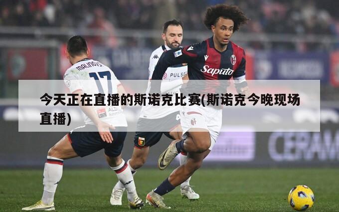 今天正在直播的斯诺克比赛(斯诺克今晚现场直播)-第1张图片-海莱特体育