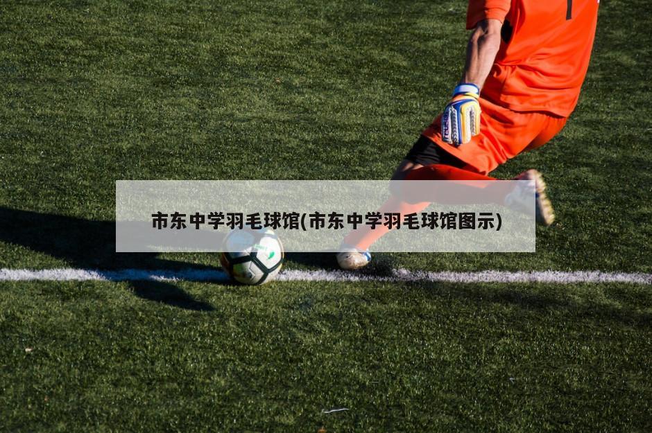 市东中学羽毛球馆(市东中学羽毛球馆图示)-第1张图片-海莱特体育