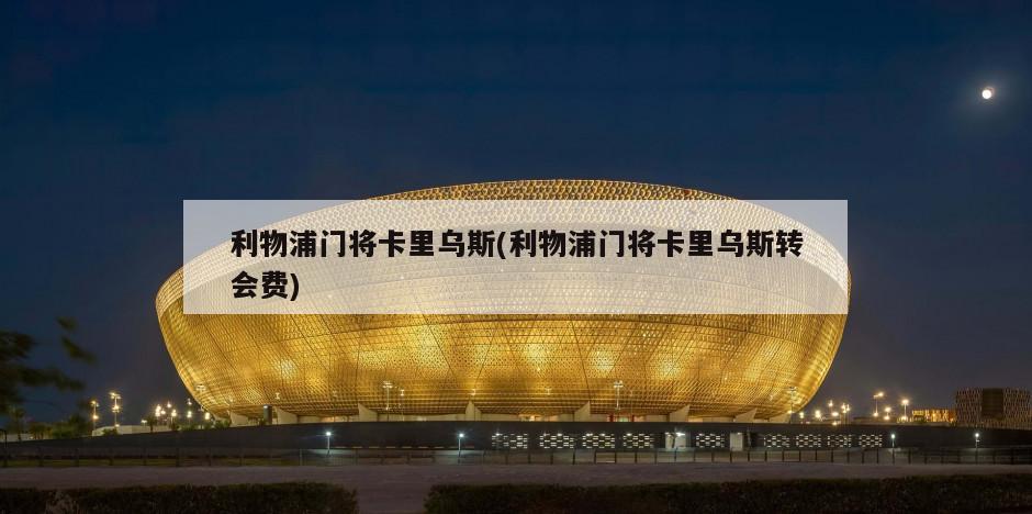 利物浦门将卡里乌斯(利物浦门将卡里乌斯转会费)-第1张图片-海莱特体育