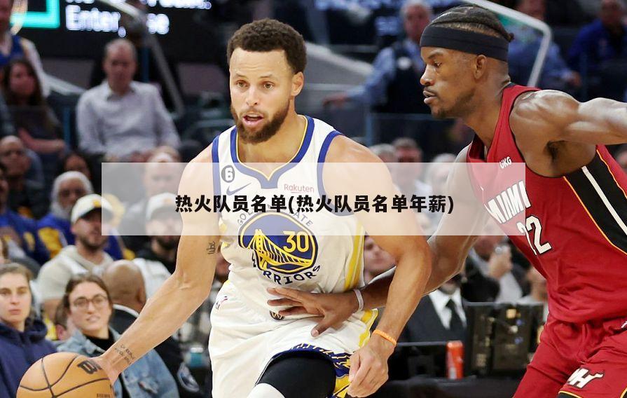 热火队员名单(热火队员名单年薪)-第1张图片-海莱特体育