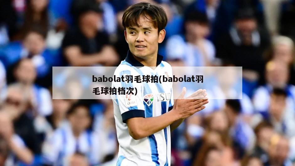 babolat羽毛球拍(babolat羽毛球拍档次)-第1张图片-海莱特体育