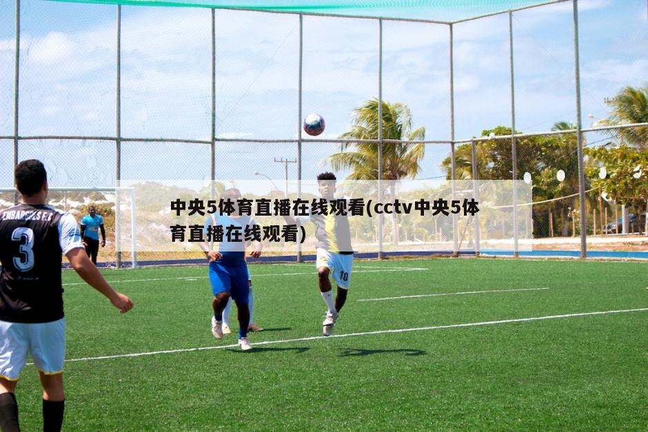 中央5体育直播在线观看(cctv中央5体育直播在线观看)-第1张图片-海莱特体育