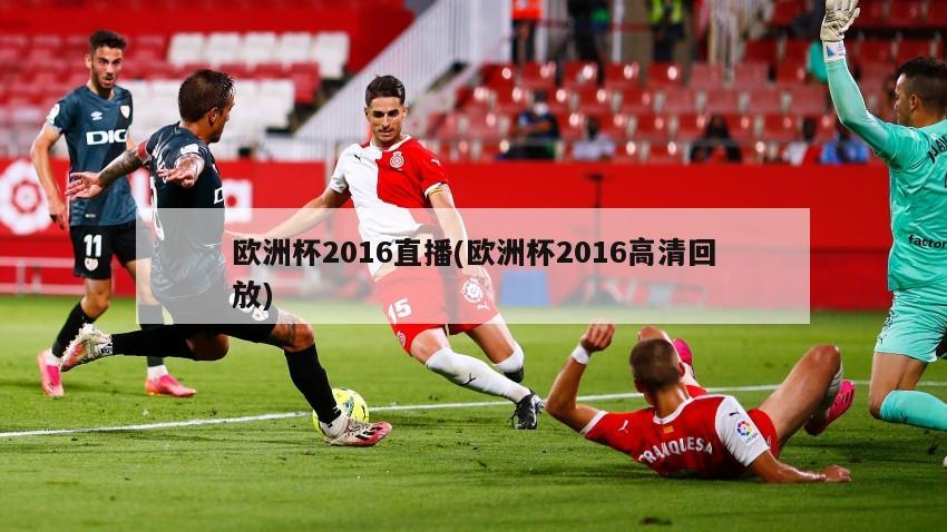 欧洲杯2016直播(欧洲杯2016高清回放)-第1张图片-海莱特体育