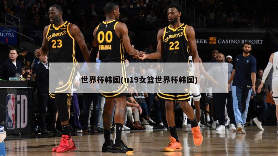 世界杯韩国(u19女篮世界杯韩国)-第1张图片-海莱特体育