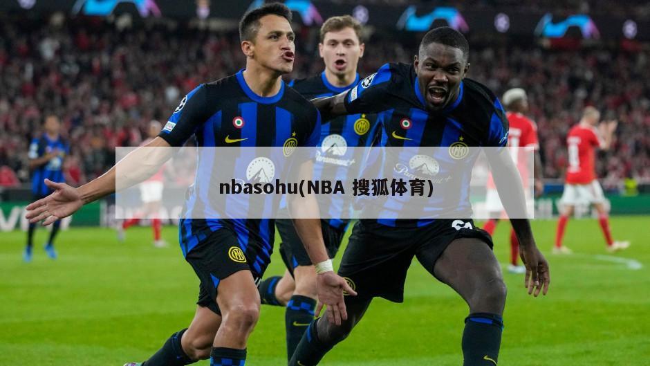nbasohu(NBA 搜狐体育)-第1张图片-海莱特体育