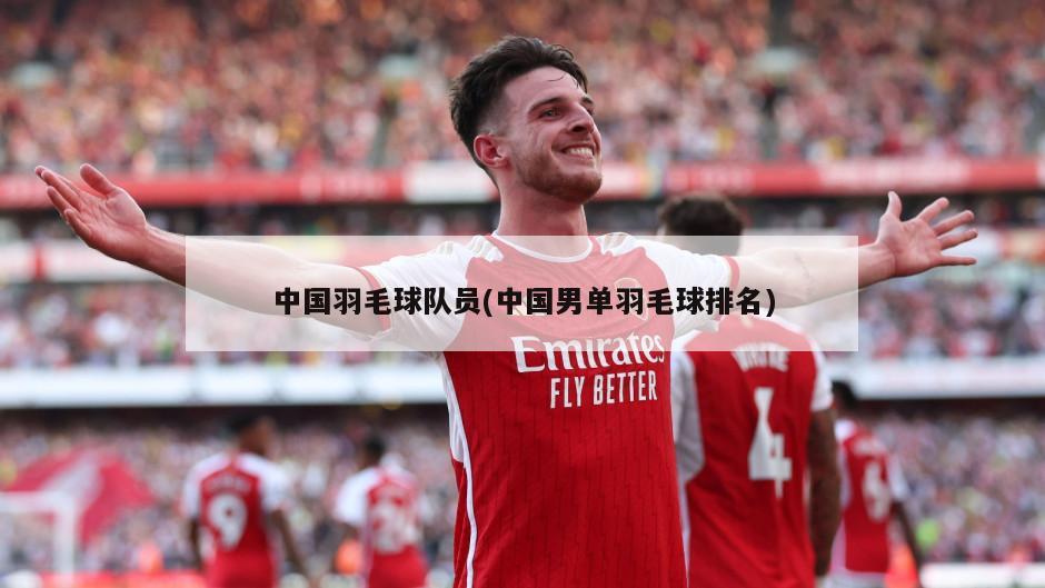 中国羽毛球队员(中国男单羽毛球排名)-第1张图片-海莱特体育
