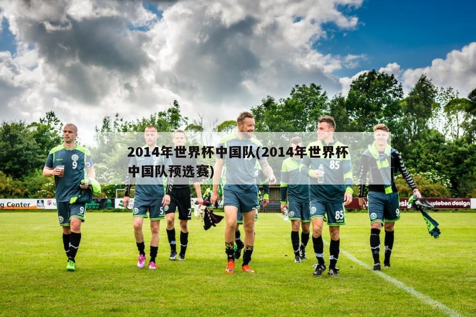 2014年世界杯中国队(2014年世界杯中国队预选赛)-第1张图片-海莱特体育