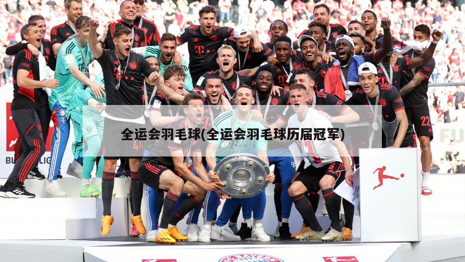 全运会羽毛球(全运会羽毛球历届冠军)-第1张图片-海莱特体育