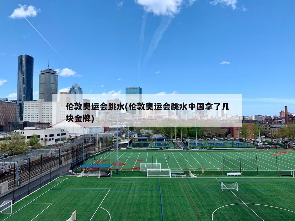 伦敦奥运会跳水(伦敦奥运会跳水中国拿了几块金牌)-第1张图片-海莱特体育