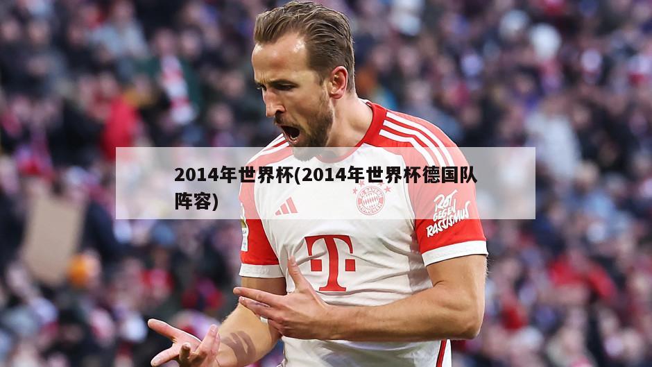 2014年世界杯(2014年世界杯德国队阵容)-第1张图片-海莱特体育