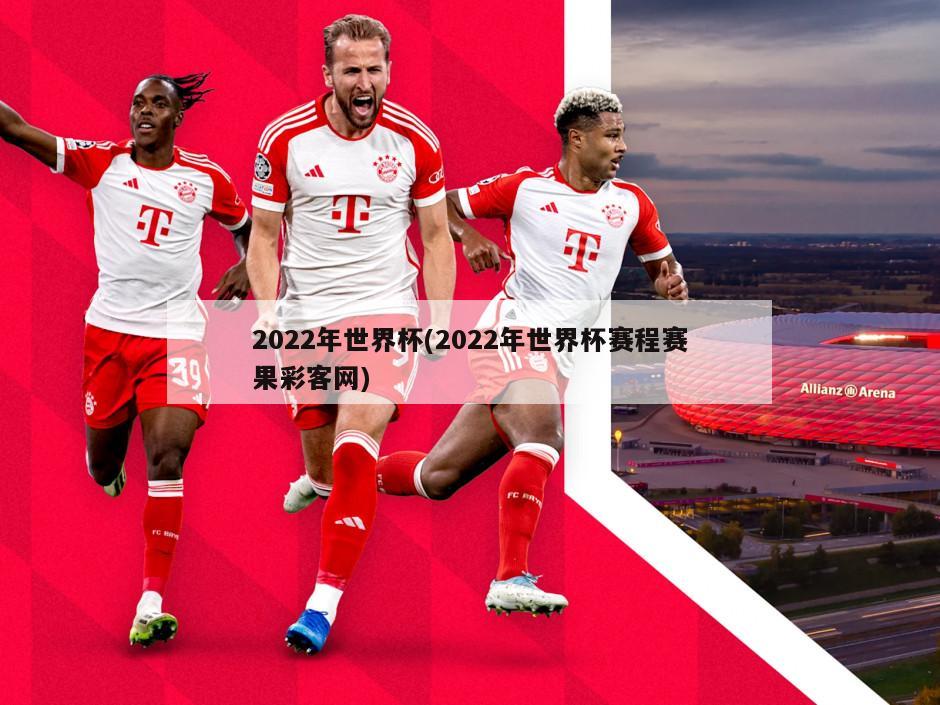 2022年世界杯(2022年世界杯赛程赛果彩客网)-第1张图片-海莱特体育