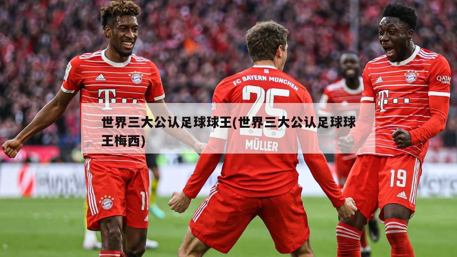 世界三大公认足球球王(世界三大公认足球球王梅西)-第1张图片-海莱特体育