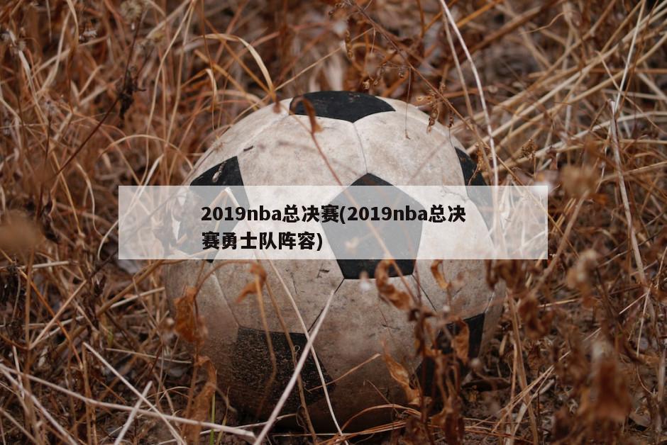 2019nba总决赛(2019nba总决赛勇士队阵容)-第1张图片-海莱特体育