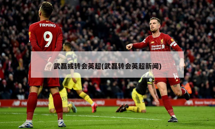 武磊或转会英超(武磊转会英超新闻)-第1张图片-海莱特体育