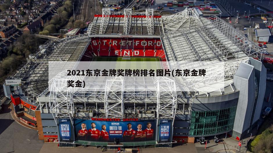 2021东京金牌奖牌榜排名图片(东京金牌奖金)-第1张图片-海莱特体育
