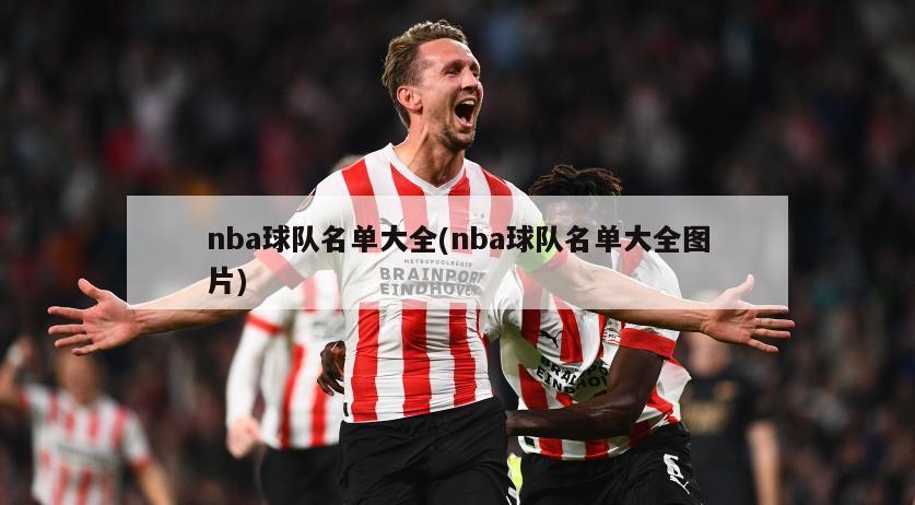 nba球队名单大全(nba球队名单大全图片)-第1张图片-海莱特体育
