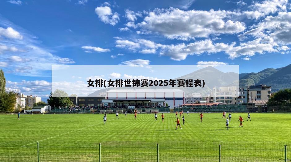 女排(女排世锦赛2025年赛程表)-第1张图片-海莱特体育