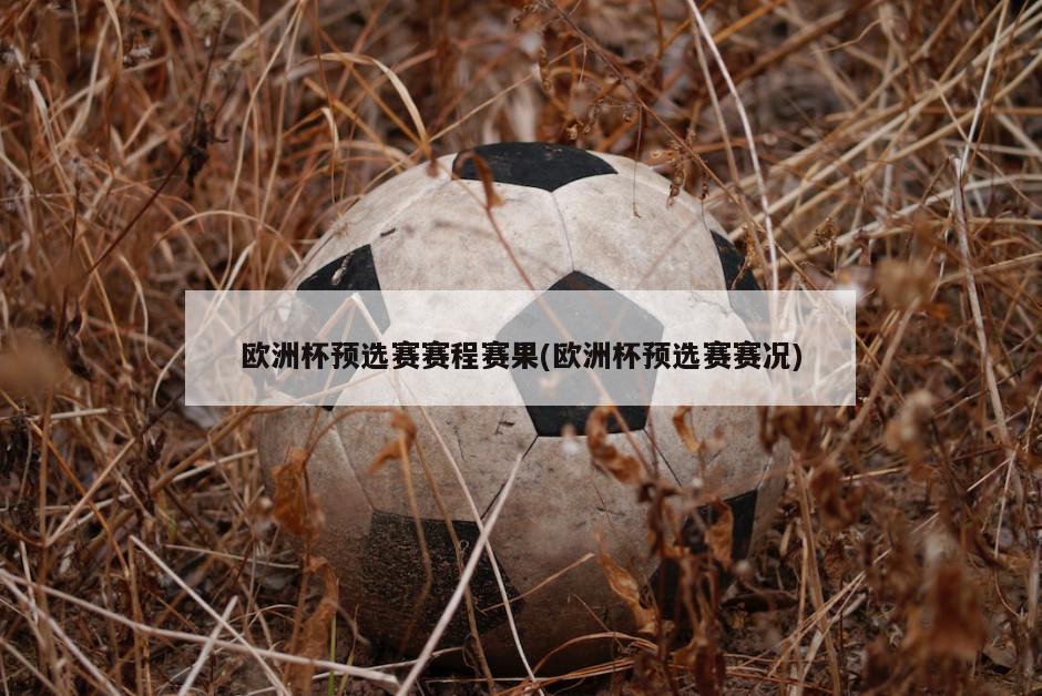 欧洲杯预选赛赛程赛果(欧洲杯预选赛赛况)-第1张图片-海莱特体育