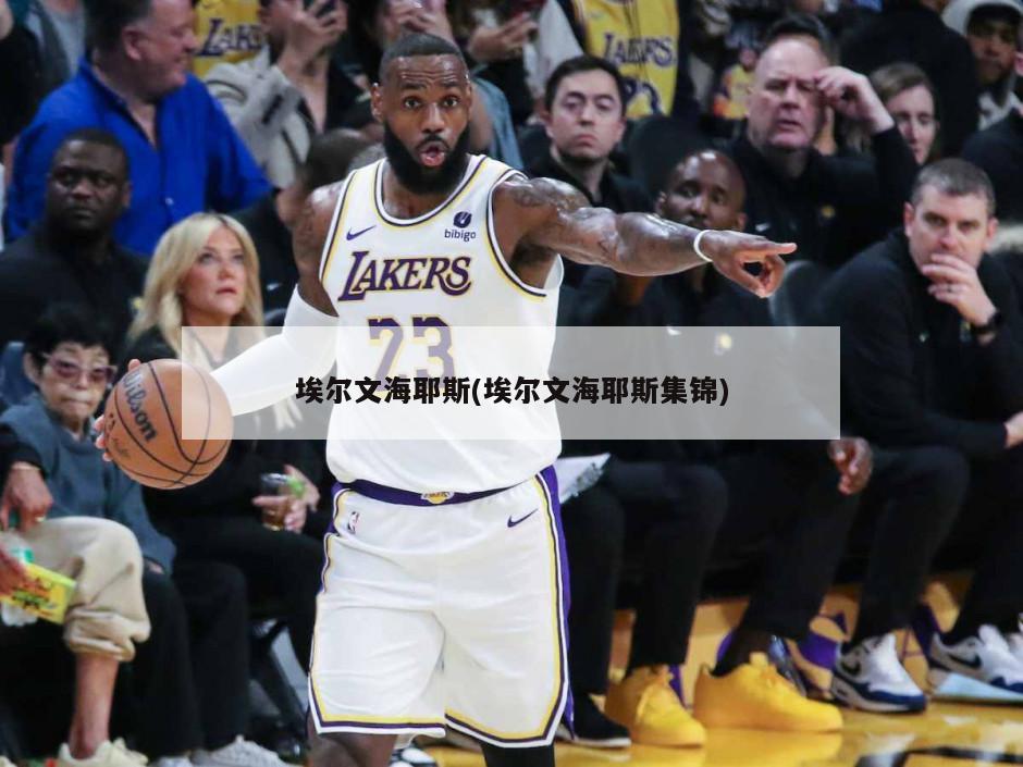 埃尔文海耶斯(埃尔文海耶斯集锦)-第1张图片-海莱特体育