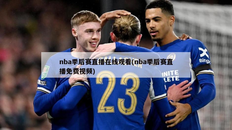 nba季后赛直播在线观看(nba季后赛直播免费视频)-第1张图片-海莱特体育