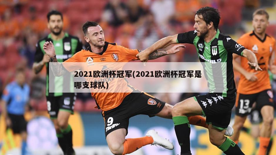 2021欧洲杯冠军(2021欧洲杯冠军是哪支球队)-第1张图片-海莱特体育