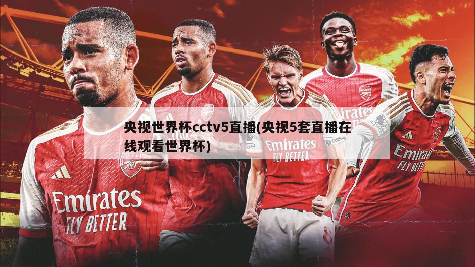 央视世界杯cctv5直播(央视5套直播在线观看世界杯)-第1张图片-海莱特体育