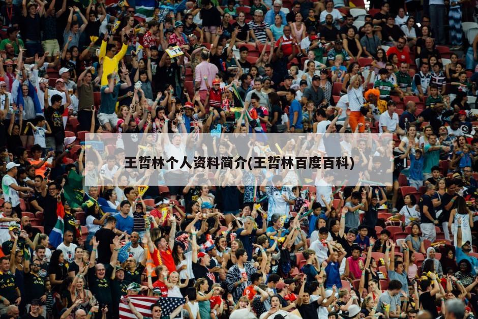 王哲林个人资料简介(王哲林百度百科)-第1张图片-海莱特体育